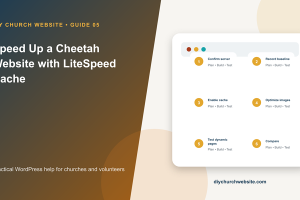 Speed Up a Cheetah Website with LiteSpeed Cache cover